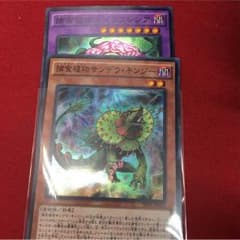 捕食植物サンデウキンジー、キメラフレシアのサムネイル