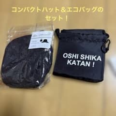 折りたたみトラベルハット＆コンパクト収納エコバッグの2点セット！