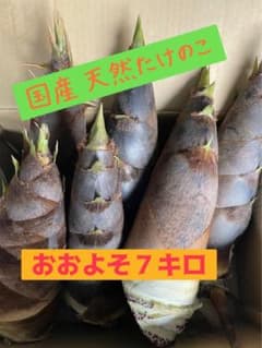 天然 たけのこ 7キロ　無農薬　収穫後すぐに発送します‼️のサムネイル