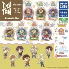 BTS Tiny Tan 워터 돔 컬렉션 컴프 정리 판매