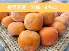 長野県産 渋柿 8キロのサムネイル