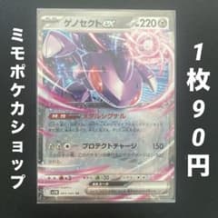 잔 2장 게노섹트 ex RR SV11B 블랙 볼트 069/086