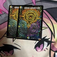 パーフェクトペテンシー 2枚セット - メルカリ