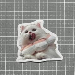 [A150] 방수 스티커 고양이 고양이 흰 고양이 넥 베개 귀여운 cat