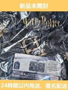 이치 반 쿠지 Harry Potter Magical Holiday! A상