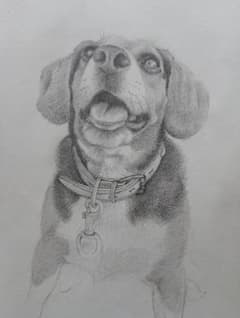 鉛筆画 犬のデッサンのサムネイル