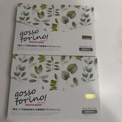 grosso torino! ゴッソトリノ　ハーブミント　30包 2箱 koregaichiban_000958