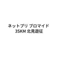 にじさんじ ネットプリント 3SKMのサムネイル