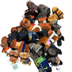 全てタグ付　サラブレッドコレクション　ぬいぐるみ15匹　大量まとめ売り　競馬