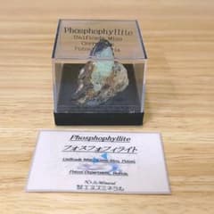 m20423028723_1.jpg?1639451401