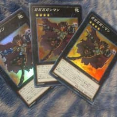 ひかるん様 専用のサムネイル