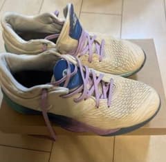 ballaholic×Asics Unpre Ars Low 大井たかよしサイン ballaholic×Asics Unpre Ars Low 大井たかよしサイン - メルカリ