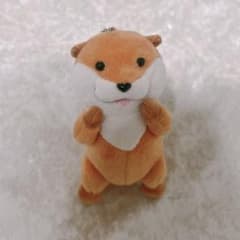 可愛い嘘のカワウソ　ぬいぐるみ　マスコットのサムネイル