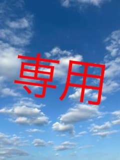 専用になりますのサムネイル