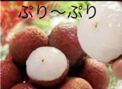 黒葉 ライチ種のサムネイル