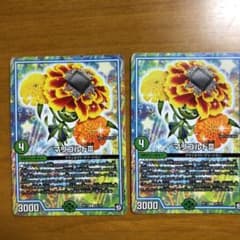 マリゴルドⅢ 2枚のサムネイル