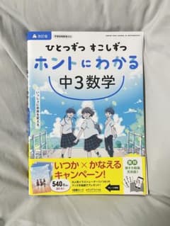 にこまる様 リクエスト 2点 まとめ商品のサムネイル