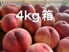 山梨県 桃 さくら白桃 最終のサムネイル