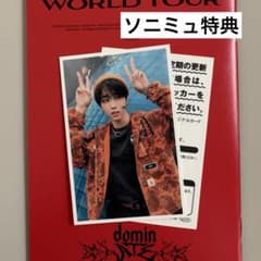 Stray Kids ハン ソニミュ特典トレカdominATE JAPAN - メルカリ