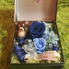 確認用ですのサムネイル