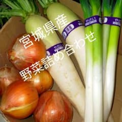 野菜詰め合わせ　大根　ネギ　玉ねぎのサムネイル