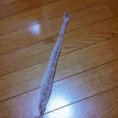縁起の良い蛇の皮1本！のサムネイル