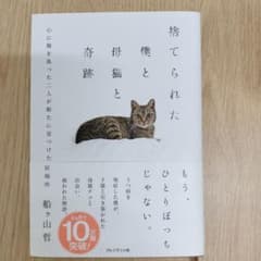 捨てられた僕と母猫と奇跡のサムネイル