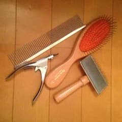 専用のサムネイル