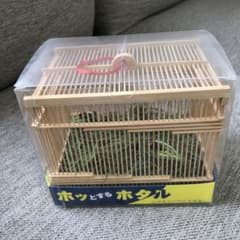 ホッとするホタル 竹かごタイプ（小）のサムネイル
