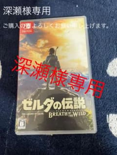 ゼルダの伝説 ブレス オブ ザ ワイルド　Switchのサムネイル