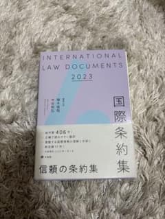 国際条約集 2023のサムネイル