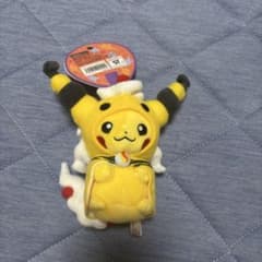 Pokemo Center　メガデンリュウのポンチョを着たピカチュウ マスコットのサムネイル