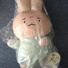 ホワイトタイガーとブラックタイガー　おやすみＢＩＧぬいぐるみ　うさぎ先生
