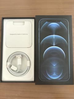 iPhone 12 Pro 퍼시픽 블루 본체 256GB