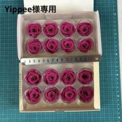 Yippee様専用ミアローズのカシスベリーが2箱と他のサムネイル