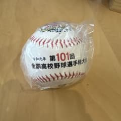 全国高校野球選手権記念大会 記念ボール 101回 星稜高校