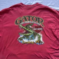 【激レア】 ハーレーダビッドソン 古着 Tシャツ ビッグサイズのサムネイル