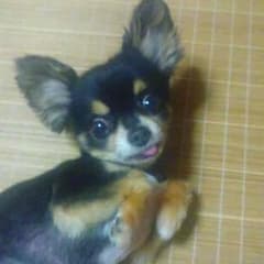 Happy様専用❤︎のサムネイル