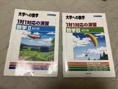 大学への数学 1対1対応の演習 数学II 数学B 新訂版 2冊セットのサムネイル