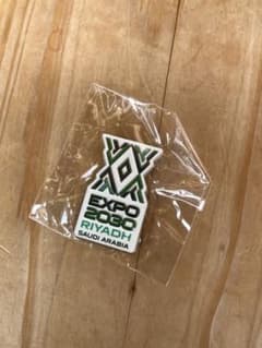 万博　EXPO 2030 サウジアラビアRIYADH ピンバッジのサムネイル