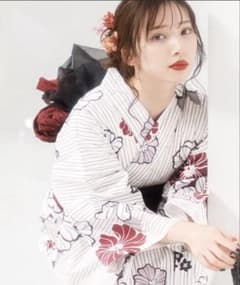 Dita 古典大正ロマン　和歌山染工日本染めのサムネイル