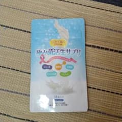 極み菌活生サプリ 31粒のサムネイル
