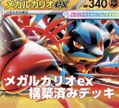 メガルカリオex ガチ構築済みデッキ〜調整パーツ付〜 メガルカリオex 構築済みデッキ 優勝ガチ構築 - メルカリ