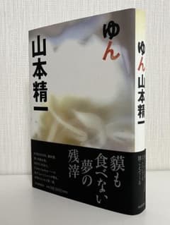 【初版、帯付き】ゆん 山本精一のサムネイル