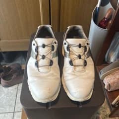 FootJoy ゴルフシューズ BOA ホワイト ブラックのサムネイル