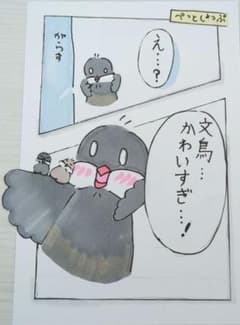 ★文鳥好きが書いた！のんびり文鳥日和シリーズ 漫画バージョン「文鳥可愛すぎ！」のサムネイル