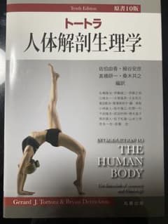 トートラ人体解剖生理学のサムネイル
