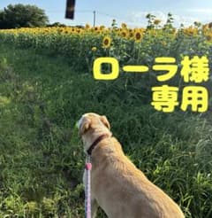 ローラ様専用ですのサムネイル