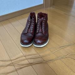 レア 四角犬タグ】RED WING 8166×アイリッシュセッター 24センチ