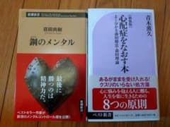【メンタル・心理学 新書2冊セット】 鋼のメンタル ／ 心配症をなおす本のサムネイル